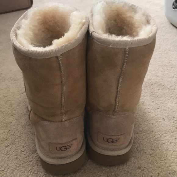 Short uggs - Picture 2 of 3